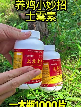#养鸡#鸡鸭鹅养殖#三农#养鸡小妙招#养殖