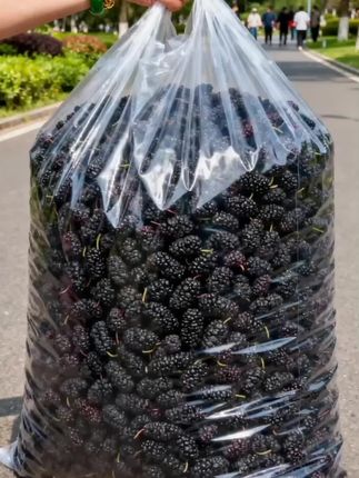 新疆黑桑葚干#新疆黑桑葚干 #桑葚干 #优质农产品 #强烈推荐