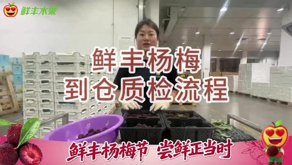 🔒295项农残检测合格! 三级联动检测方案层层把关!让消费者安心享受每一颗鲜美杨梅#鲜丰杨梅节 #品质保障 #尝鲜正当时