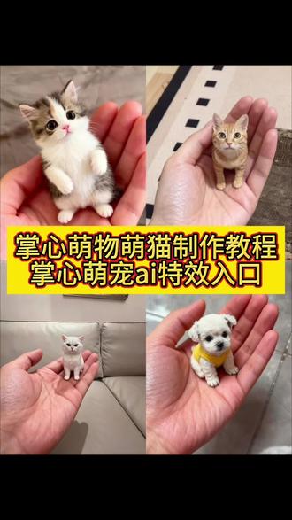 ai掌心萌宠教程来了 ai掌心萌宠教程入口 ai掌心萌趣宠物特效 ai手心有你特效教程 手上长猫特效教程 手上有一只小猫的特效 ai掌心萌趣照 掌心萌宠动态图 掌心萌宠照片免费制作 掌心小猫素材图 手掌小猫p图素材 掌心萌宠特效素材 掌心萌宠周边推荐 掌心萌宠ai怎么做 ai掌心萌宠拍同款#即梦ai #掌心萌宠 #ai掌心萌宠 #谁懂被掌心萌物可爱化了 #掌心萌物 ai掌心萌趣教程 ai掌心萌趣照 ai掌心萌趣 ai掌心萌趣特效教程 猫咪ai特效教程 ai掌心萌趣 掌心萌去特写教程 ai宠物视频 ai特效宠物 ai掌心萌趣可爱特效 ai掌心萌趣写真 Ai掌心萌趣特效 ai掌心萌趣宠物特效 ai掌心萌趣制作技巧 Ai掌心萌趣光遇 掌心萌趣写真教程