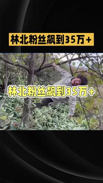 林北粉丝飙到35万➕