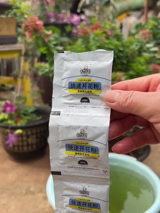 开花绿植要想开花多花期长、色泽鲜艳、我们就给施一些开花肥可以罐根也可以叶面喷洒#养花小妙招 #种植小技巧 #爱生活爱养花
