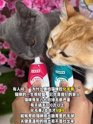 猫咪每天舔毛上千次,每次吃进肚里几根毛发,排不出来积累成毛球,喂点化毛膏可以及时排出毛球,别等出事了才后悔#养猫新手 #科学养宠攻略 #化毛膏#猫咪排毛