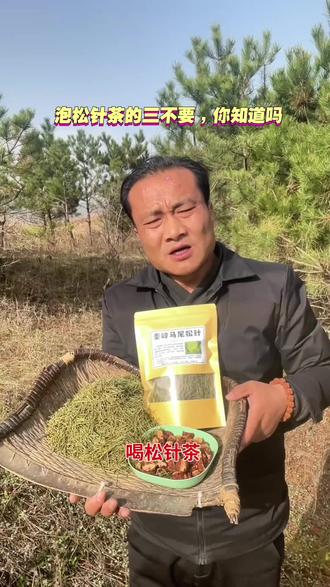 松针茶的价值你知道吗#秦岭 #马尾松 #松针茶