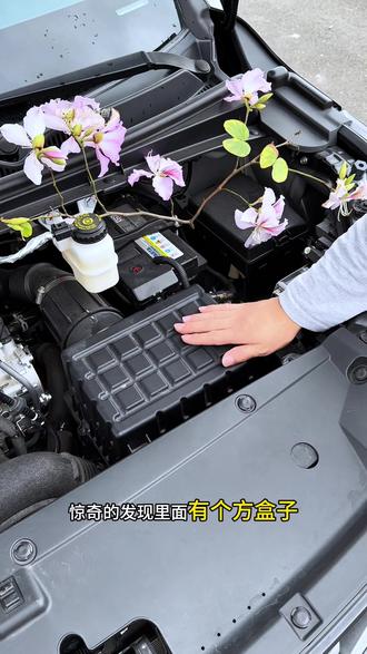传祺任何车型保养前,提前自己动手换个空气滤芯和空调滤芯,轻松省下二百块,安装非常简单#传祺汽车 #传祺 #空调滤芯 #空气滤芯 #厉害了我的车