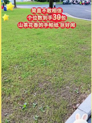 简直不敢相信!洁柔小鹦鹉手帕纸都卷到个位数发30包了,还有淡淡的山茶花香~ #洁柔#手帕纸#纸巾界的小香包 #超便宜超划算