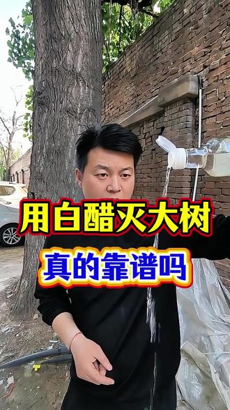 用白醋放倒碍事的大树,到底靠谱吗?#除树烂根 #开荒保洁 #除大树 #白醋除树 #环嗪酮除大树竹子灌木杂草