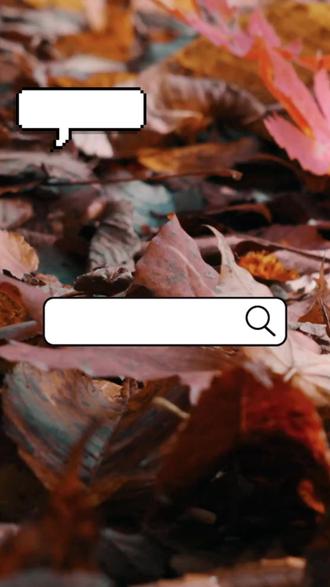 昆明将开启“冻手冻脚”模式!最低至3°C! 接下来的天气是这样的!点个爱心收藏!注意,周末夜晚是,双子座流星雨最佳观赏期!错过等一年!
#昆明天气 #昆明 #冷空气 #天气预报 #流星雨