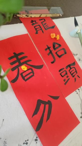 二月初二,春分恰好🌿
墨池里映出青龙的鳞🐲
研墨时听见雷声隐隐
落笔处有万物苏醒
今天不写凡人字
只写——
昼夜均而寒暑平
苍龙角亢正东升
用隶书的蚕头燕尾
接住这一年的好兆头✨
#春分 #龙抬头 #今日书法
#二十四节气 #写字是一种修行