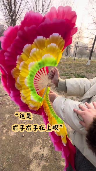 一学就会的花扇教程#花扇教程 #花扇 #花扇舞 #花扇美 #花扇子舞