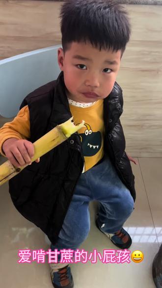 2周岁尝试了么甘蔗,现在3周了,还是一如既往的喜欢,一次可以啃3节,他的牙齿🦷比爷爷奶奶爸爸哥哥舅舅都好很多很多😀😀😀#我的阳光男孩一转眼就长大了 #吃货日常 #啃甘蔗 #记录孩子的点点滴滴 #这样的萌娃你们喜欢吗