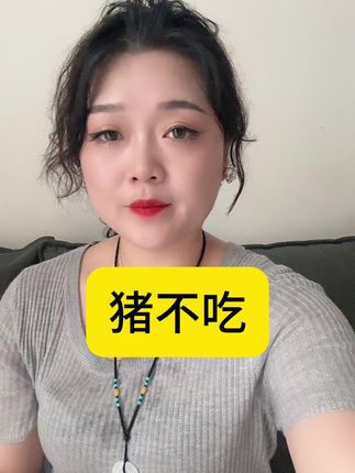 关注老妹