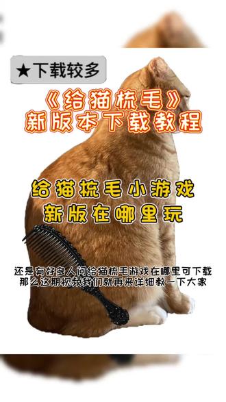 @光环助手APP #光环助手 给猫梳毛哪里下载教程分享 给猫梳毛游戏新版本在哪里 #给猫梳毛 #给猫梳毛游戏 #休闲游戏 #趣味小游戏