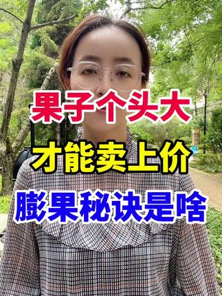 果子个头大,才能卖上价,膨果秘诀,到底是啥 #膨果增甜 #效果好#瓜果蔬菜#增产增收#种植小技巧