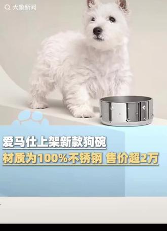 愛馬仕兩万块的狗碗