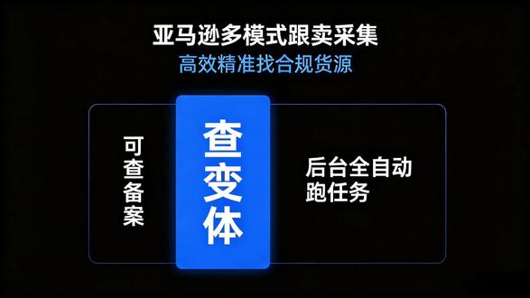 亚马逊ERP全套跟卖采集教程,支持多种采集方式,可查备案、查变体,后台全自动跑任务#亚马逊跨境电商#亚马逊干货分享#亚马逊运营技巧