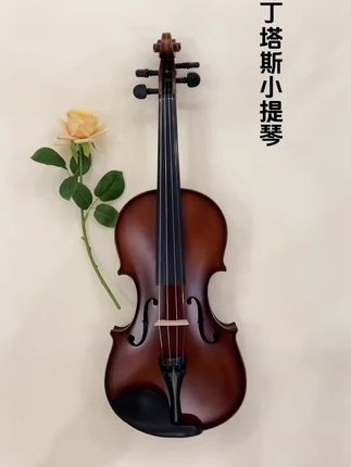 #好物推荐🔥 丁塔斯A03实木仿古色小提琴初学入门儿童成人自学仿古提琴#好产品一起分享