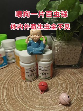 #科学养宠攻略 #养狗的乐趣 #好物推荐🔥 #养狗人 #萌宠出道计划
