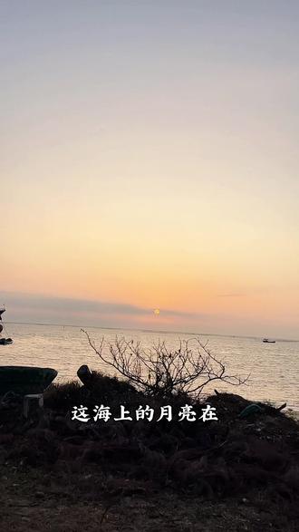 勇闯南极村赶海,尴尬了,没关系,去经历,去感受,去热爱,去发现一切美好就非常值得#都在我内心翻腾l旅行转场 #赶海 #南极村 #湛江 #vlog日常