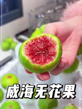 爱吃无花果的一定要试试这个山东威海的#青皮无花果 !!!#新鲜应季水果 #优质农产品 #水果自由