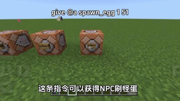我的世界指令#我的世界 #mc #游戏