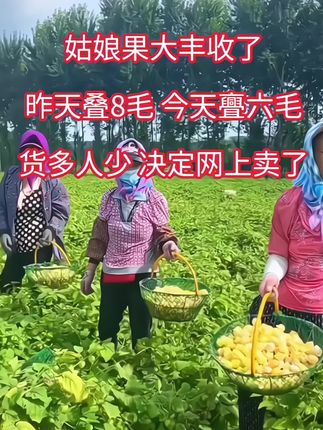#优质农产品#东北姑娘果#快来一起尝个鲜#超便宜超划算