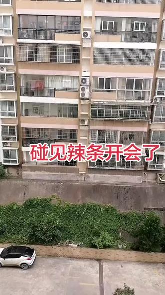 碰见辣条开会了!#小区外景实拍