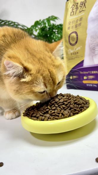 一个月几十块钱也能吃到一线大牌麦富迪 #猫粮 #新手养猫 #养猫人 #猫粮推荐 #养猫必备