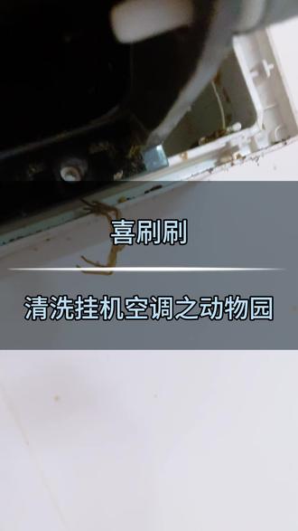 空调里面有什么:小鸟,壁虎,蜘蛛……#空调清洗 #清洗空调全过程 #清洗空调的重要性