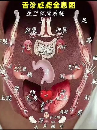 看舌象,你就照着图查! #舌象 #舌诊 #老祖宗的智慧 #国学文化 #国学智慧