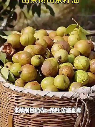 【囤货爆款】每福缘山茶油5L纯正茶油健康食用油江西茶树山茶籽油