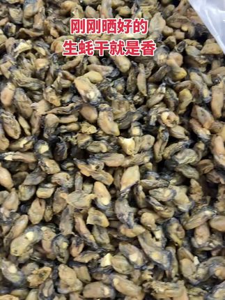 今年七月份新晒的生蚝干,干度好,蚝香味浓郁,无沙,不抽油,原汁原味,煲汤煮粥,营养又好吃😋#生蚝干 #金蚝干 #强烈推荐 #滋补养生