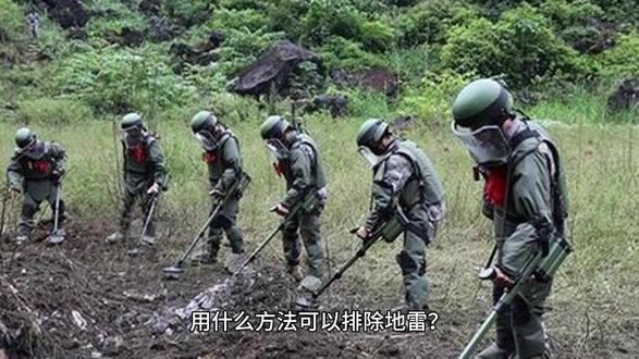 用什么方法可以排除地雷? #武器与国防