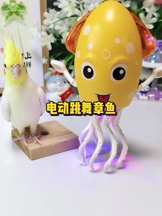 电动跳舞章鱼~能躺着跳,站着跳,带有声光音效,还会自动避让,太好玩了#儿童玩具 #我的玩具分享 #母婴好物 #也太可爱了吧 #解压玩具