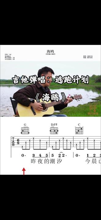 吉他弹唱《海鸥》海鸥逃跑计划吉他教学讲解,吉他新手简单版吉他弹唱谱#吉他 #吉他谱 #吉他弹唱 #吉他教学入门零基础 #吉他教学