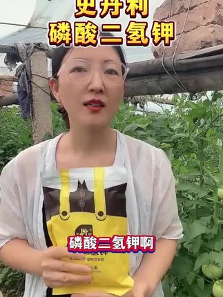 史丹利磷酸二氢钾,不用担心真假的问题,史丹利厂家直发质量保证,开花坐果的作物都能用,蔬菜大棚,花卉绿植基地都在用#史丹利#磷酸二氢钾#蔬菜大棚#花卉绿植#促花保果