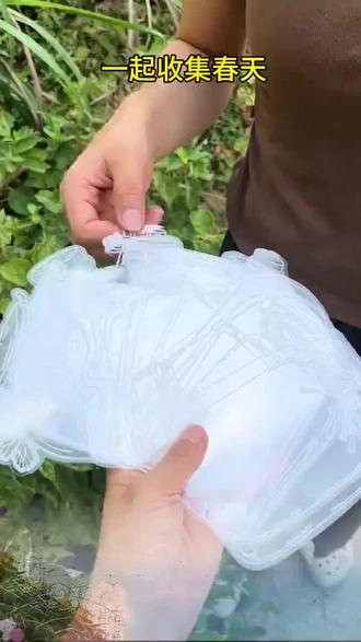 春暖花开的季节,周末带孩子去公园收集春天,制作漂亮#书签手工 ,仪式感满满#书签 #手工diy