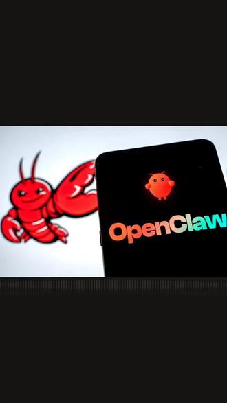 养龙虾,OpenClaw谁更适合用它?#人工智能 #openclaw #思策智库 #科普日常冷知识