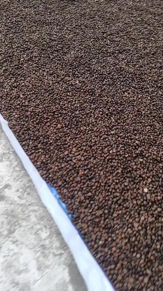 茶子30担红薯粉200斤,蜂蜜还有20斤