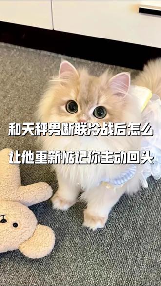 和天秤男断联冷战后,怎么让他重新惦记你,主动回头#情感 #恋爱技巧#星座#天秤男