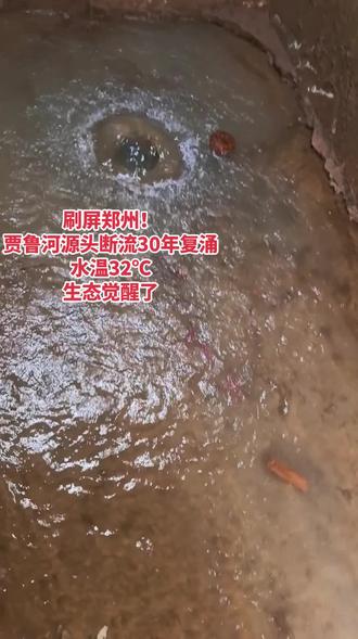 天降祥瑞!郑州贾鲁河源头梨园河村,干涸三十余年的泉水、枯井复涌奔喷,尽显生态复苏生机,印证绿水青山理念,中原正重拾灵秀风貌。#贾鲁河#泉水 #河南dou知道 #打卡 #绿水青山就是金山银山