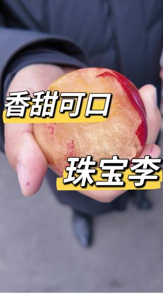 水甜水甜的珠宝李,吃一颗就会爱上#一般人不知道是什么 #水果人的日常 #西安雨润市场 #拍作品我是认真的 #水果搬运工