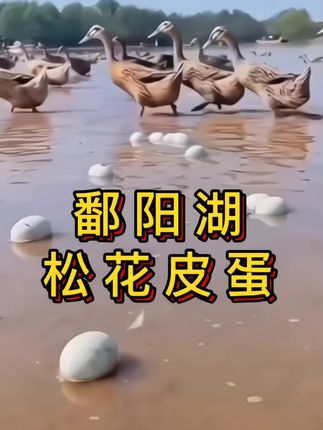 凯旋【买10送6枚】鄱阳湖松花皮蛋传统无铅工艺农家自制860g#民间传统美食 #舌尖上的味道 #太好吃了 #吃了还想吃 #鄱阳湖松花皮蛋