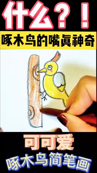 一起来画啄木鸟#简笔画 #亲子手工 #儿童画 #幼儿园手工 #画画