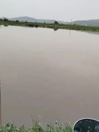 #户外钓鱼 #垂钓 #野钓 #钓鱼乐趣 #鱼获满满