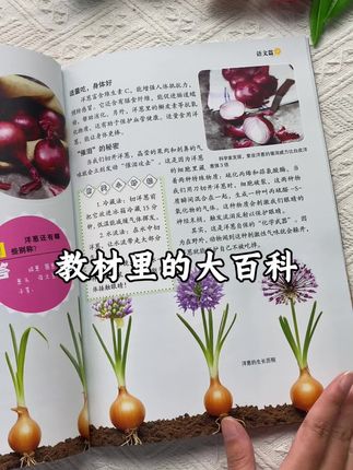 新教材里的大百科,从小拓展孩子的多元化知识,每天两个知识点,孩子越来越聪明#好书推荐🔥 #百科知识#小学#课外阅读