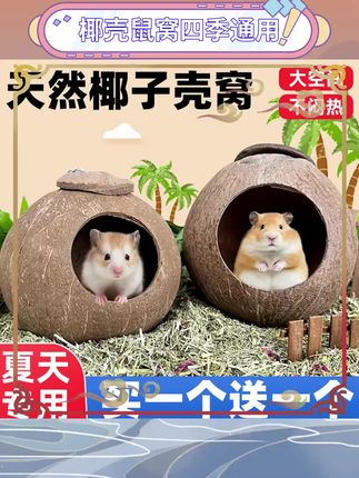 🐹夏天也要给鼠鼠降温!这款椰子壳仓鼠窝隔热又透气,四季都能用~金丝熊和小仓鼠都超爱躲里面睡觉💤天然材质安全放心,造景也超好看!#仓鼠用品推荐 #金丝熊好物 #宠物造景 #萌宠日常