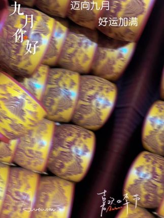 #唯与南风不相识短剧