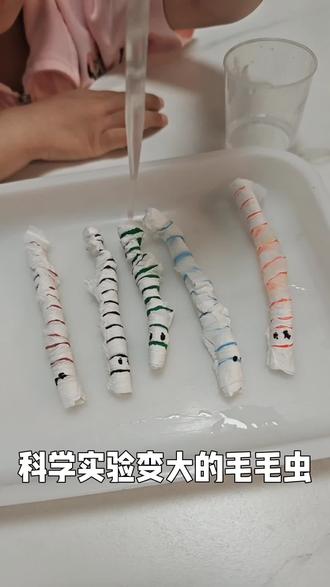 幼儿科学实验
变大的毛毛虫
纸巾吸水变大的秘密