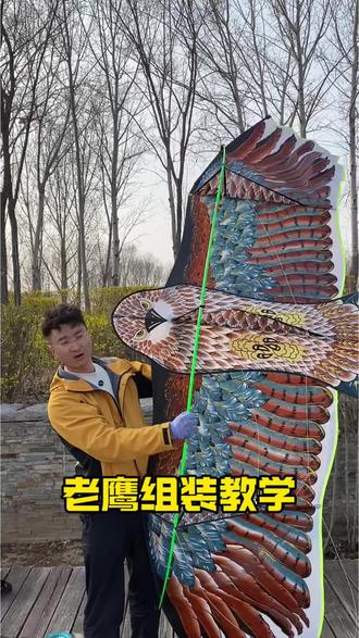 手把手教你组装老鹰风筝 3.6米老鹰组装教学#风筝组装教学 #风筝组装方法 #潍坊风筝 #春天放风筝